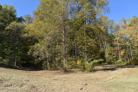 Lot 6 Briar Ridge Lane, Strawberry Plains, TN 37871