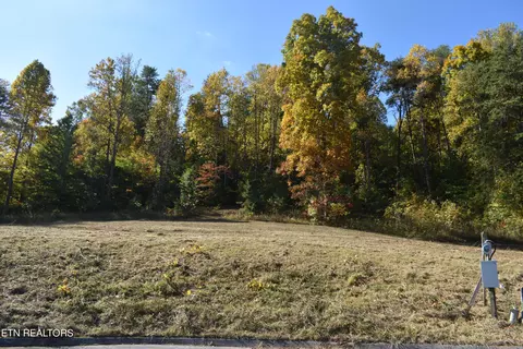 Lot 7 Briar Ridge Lane, Strawberry Plains, TN 37871