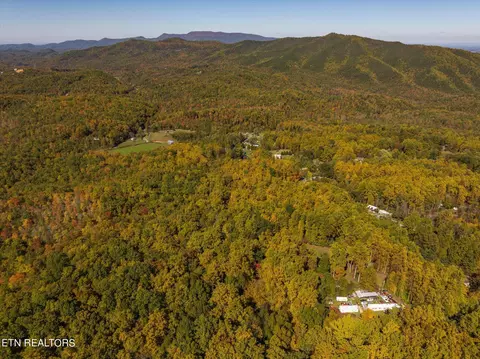 Mountain Laurel Lot 14 Way, Cosby, TN 37722