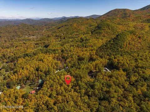 S Highway 32, Cosby, TN 37722
