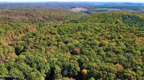1 7 Acre Log Rd, Spring City, TN 37381