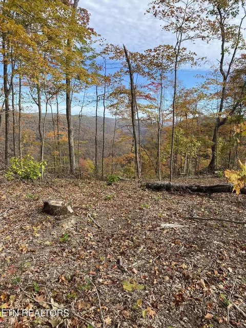 0 Capuchin Crk, Winfield, TN 37892