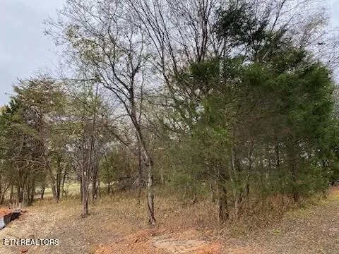 Lot 5 Dudi Tr, Vonore, TN 37885