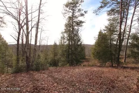 lot70 Big Leaf Cv, Jamestown, TN 38556