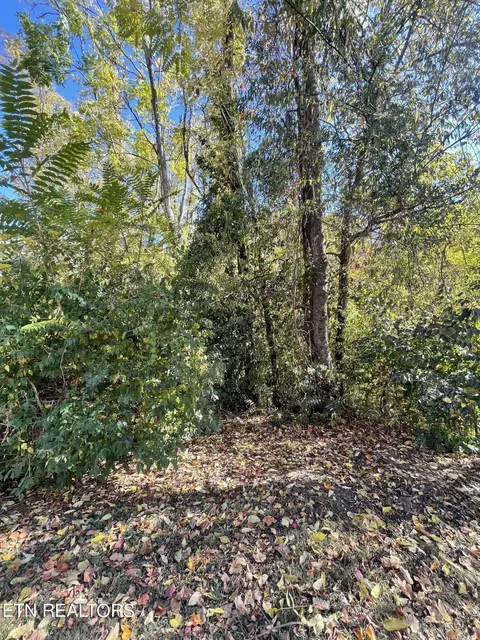 1805 NW Roy Dr, Knoxville, TN 37923