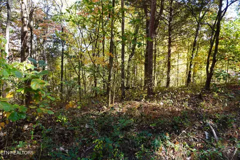 lot46 West Dr, Parrottsville, TN 37843
