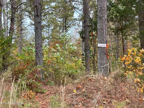 Tract 6r County Road 351, Niota, TN 37826