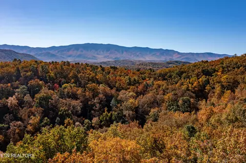 Black Elder Way, Cosby, TN 37722