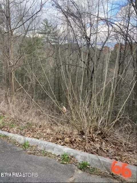 Lot #66 Smoky Ridge Way, Sevierville, TN 37862