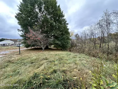 243 Iris Dr, Harrogate, TN 37752 photo 16