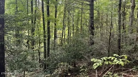 389 Faith Mountain Way, Hartford, TN 37753