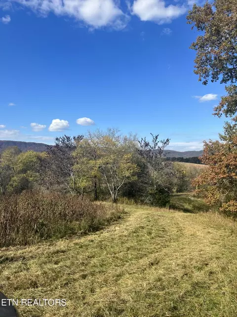 Bogard Rd, Newport, TN 37821