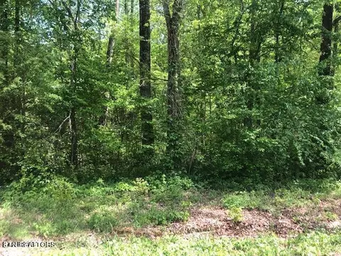 Sunrise Lane Lane, Decatur, TN 37322