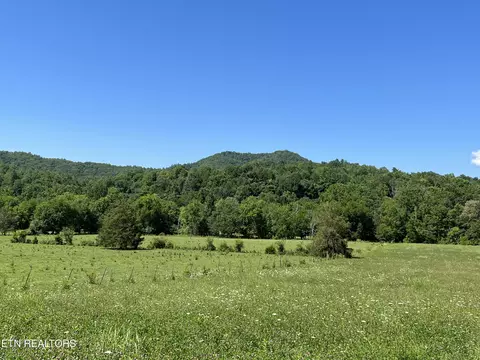 467 Tn-107, Del Rio, TN 37727
