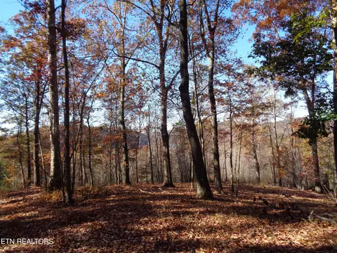 Twin Feathers Dr, Rockwood, TN 37854