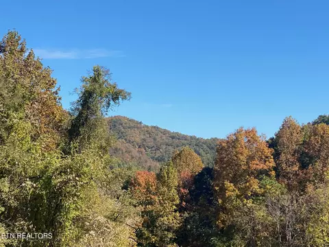 Lot #1 Rock Creek, Del Rio, TN 37727