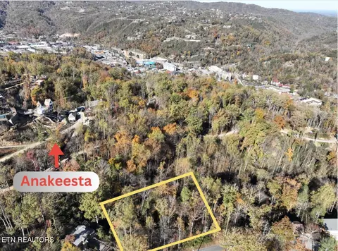 466 Loop Rd, Gatlinburg, TN 37738