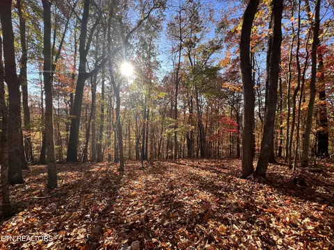 S Sudenny Lane, La Follette, TN 37766