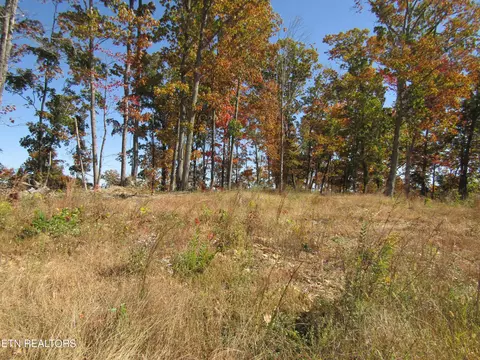 20 50 Ac Old Hwy 52 West Loop, Celina, TN 38551
