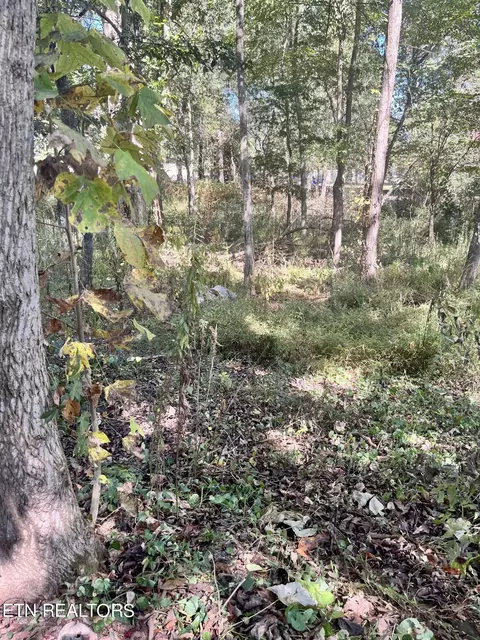 140 Mason St, Madisonville, TN 37354