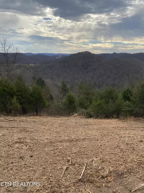 Cosby Ridge Road, Tazewell, TN 37879