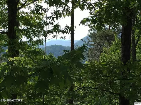 Ridgeback Lane, Sevierville, TN 37862