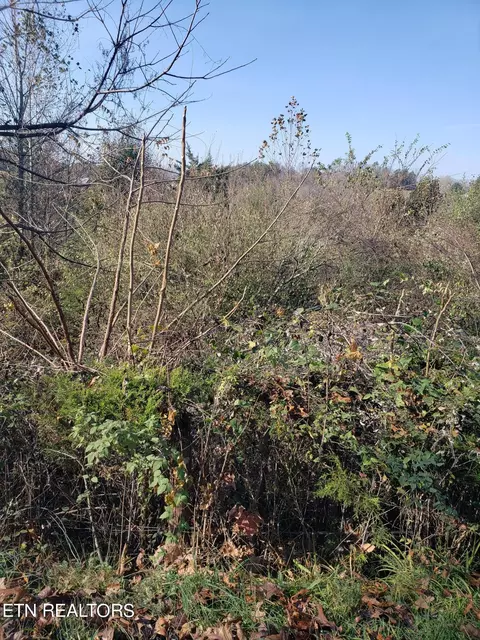 Chambers Rd, Jacksboro, TN 37757