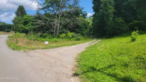 Tract 1 Lone Mountain Rd, New Tazewell, TN 37825