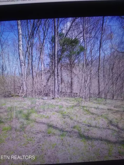 287 Edith Ln, Washburn, TN 37888