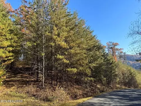 Bear Track Way, Del Rio, TN 37727