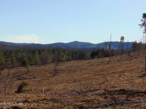 58 66 Acre Cuno Ln, Decatur, TN 37322