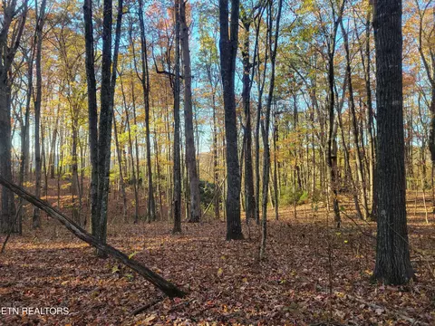 Tanner Drive, Monterey, TN 38574