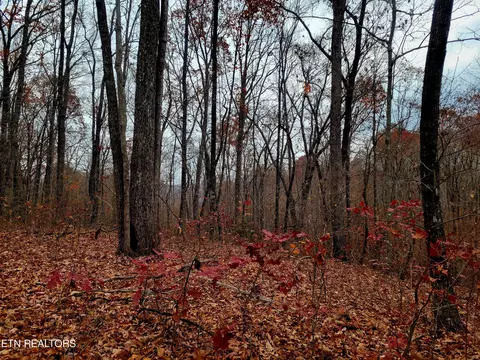 West Place, Monterey, TN 38574