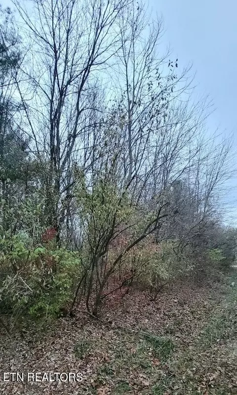 Fairview Rd, Crossville, TN 38571