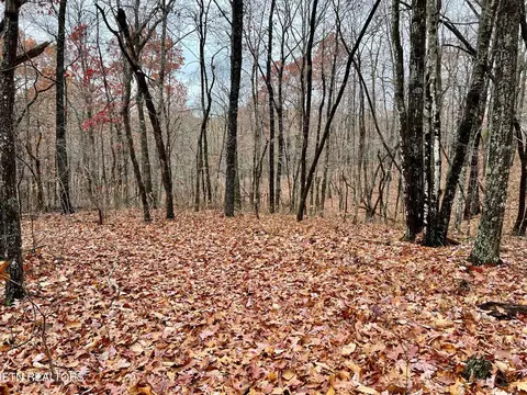 Cumberland Cove, Monterey, TN 38574