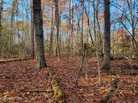 E Overlook Rd, Monterey, TN 38574