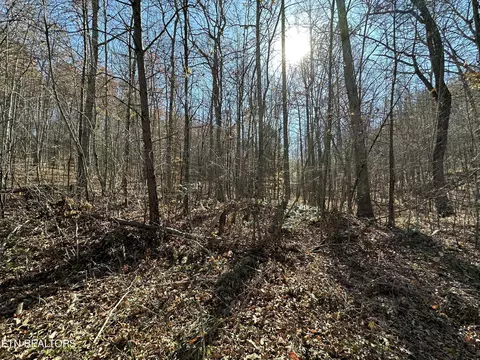 Hurricane Rd, Huntsville, TN 37756