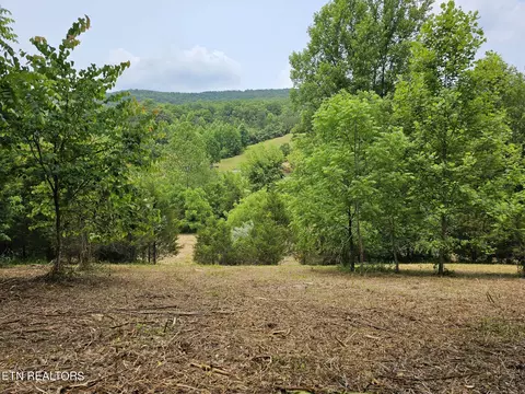 tbd Vardy Blackwater Rd, Sneedville, TN 37869