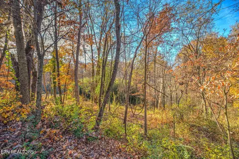 1223 Top Hill Cir, Louisville, TN 37777