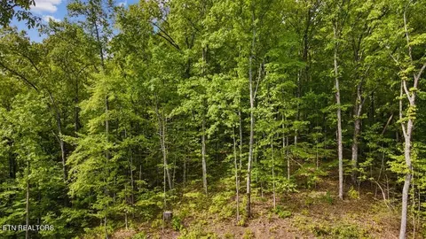 Lot 0 Joyner Hills Lane, Sevierville, TN 37876