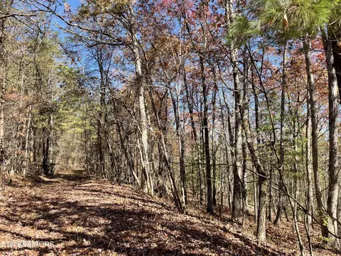 S. Wallace Rd, Tallassee, TN 37878