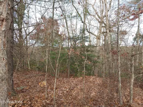 Smith Mountain Rd, Rockwood, TN 37854
