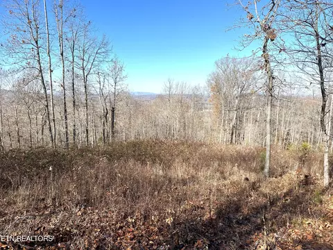 283 Tumbling Run Ests, Maynardville, TN 37807