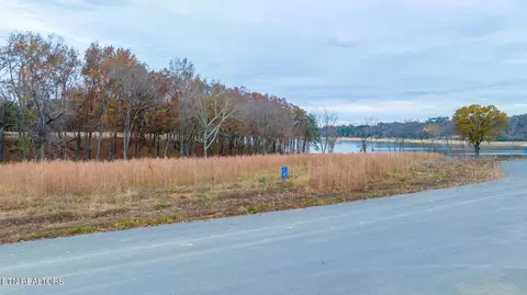 English Mountain Point, Baneberry, TN 37890