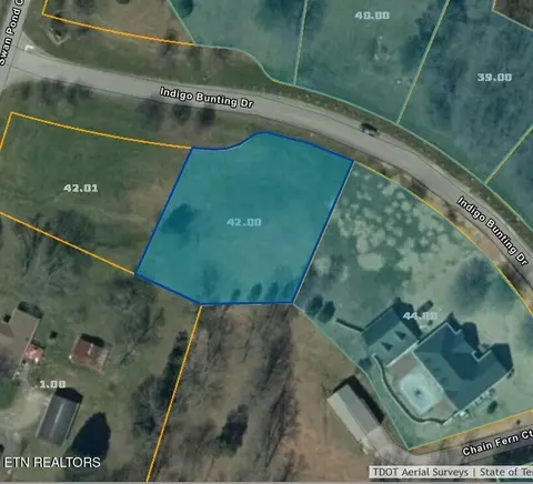 Indigo Bunting Drive, Harriman, TN 37748