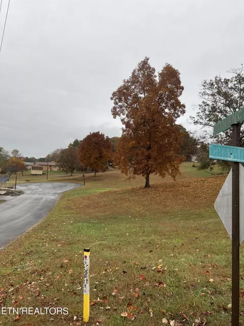 Chaparral Drive, Seymour, TN 37865