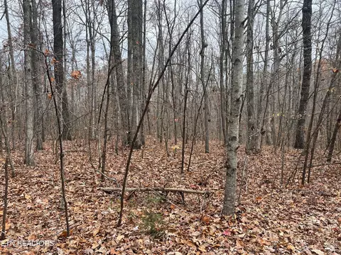 Westwind Rd, Pikeville, TN 37367