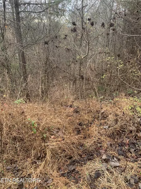 Copper Still Way, Madisonville, TN 37354