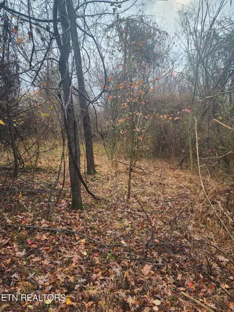 High St, Elgin, TN 37732 photo 4
