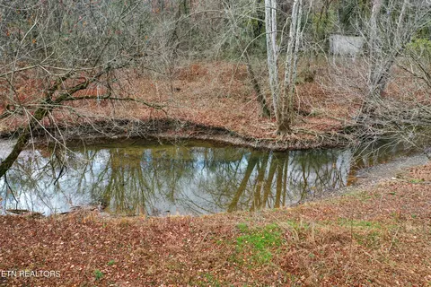 Cooper Drive, Rocky Top, TN 37769